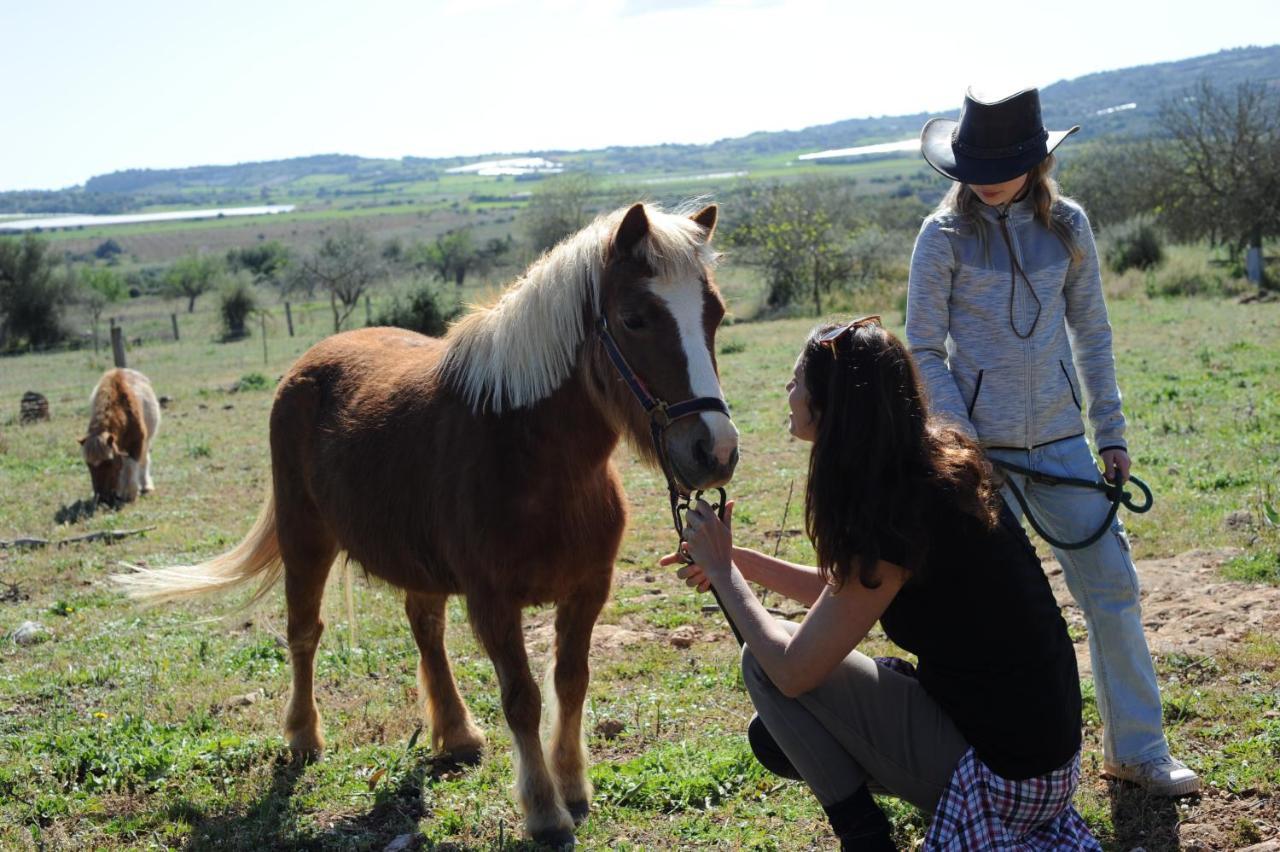 Finca Sa Cova Vella Manacor  Bagian luar foto