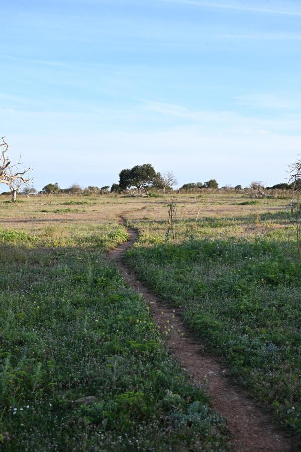 Finca Sa Cova Vella Manacor  Bagian luar foto