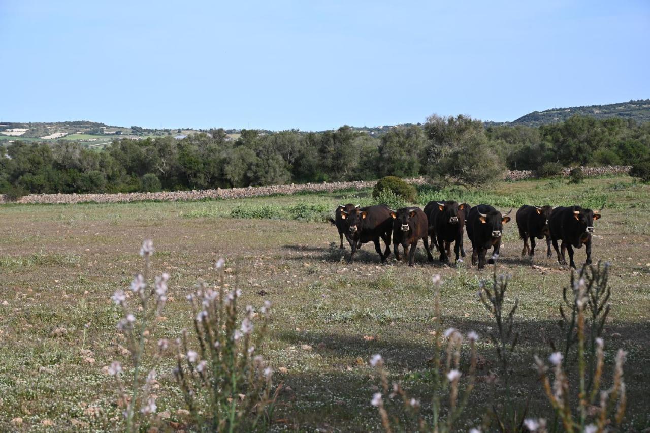 Finca Sa Cova Vella Manacor  Bagian luar foto