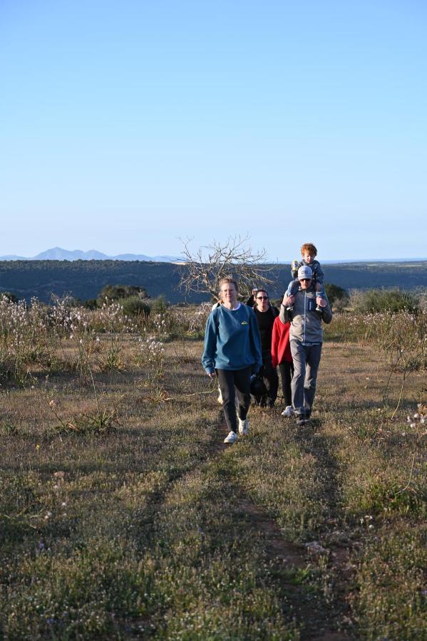 Finca Sa Cova Vella Manacor  Bagian luar foto