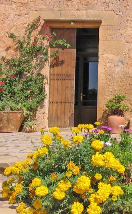 Finca Sa Cova Vella Manacor  Bagian luar foto
