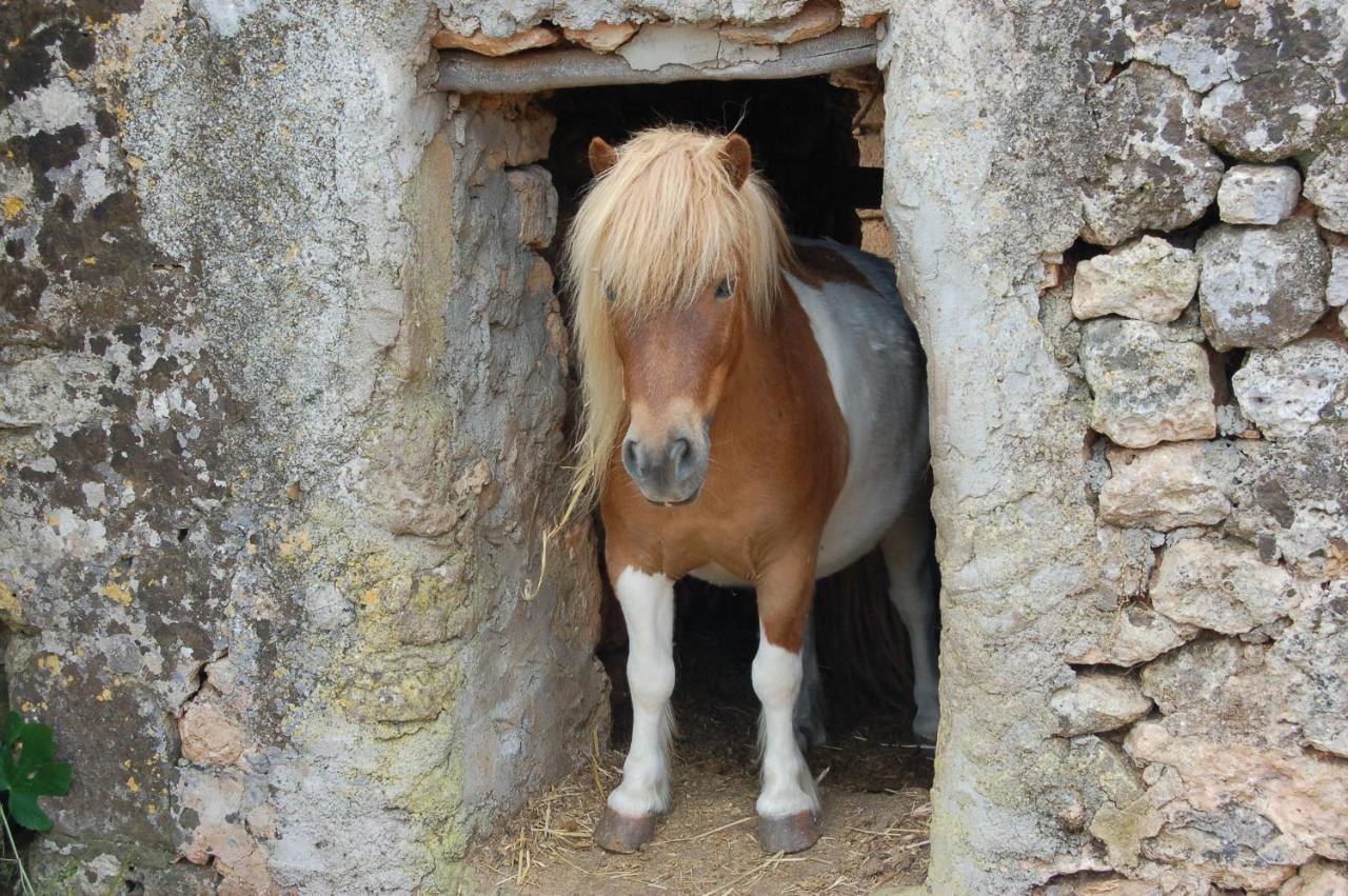 Finca Sa Cova Vella Manacor  Bagian luar foto