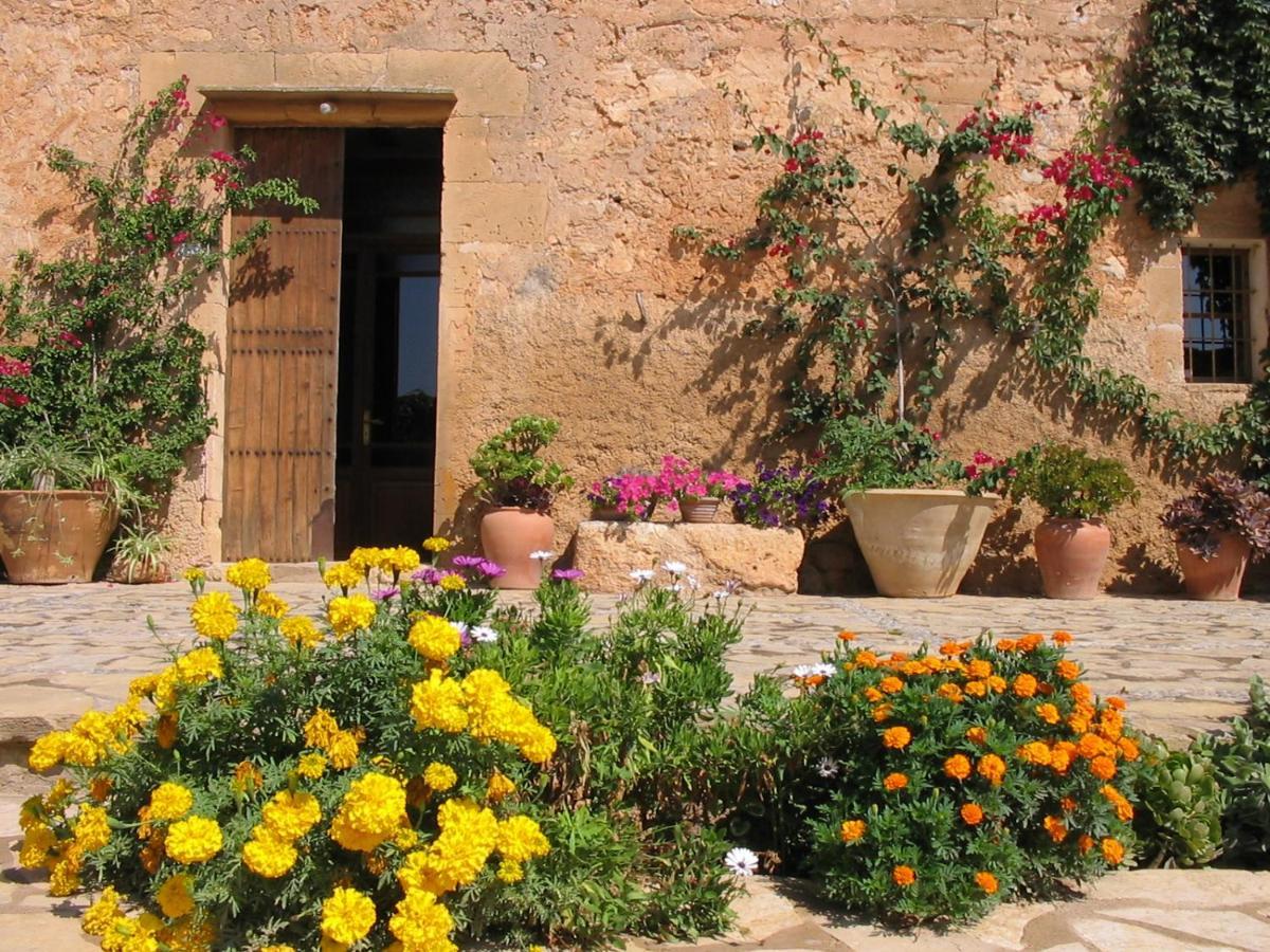 Finca Sa Cova Vella Manacor  Bagian luar foto