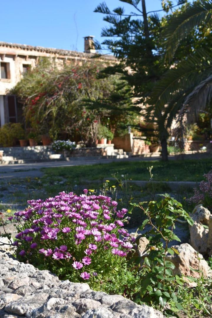Finca Sa Cova Vella Manacor  Bagian luar foto