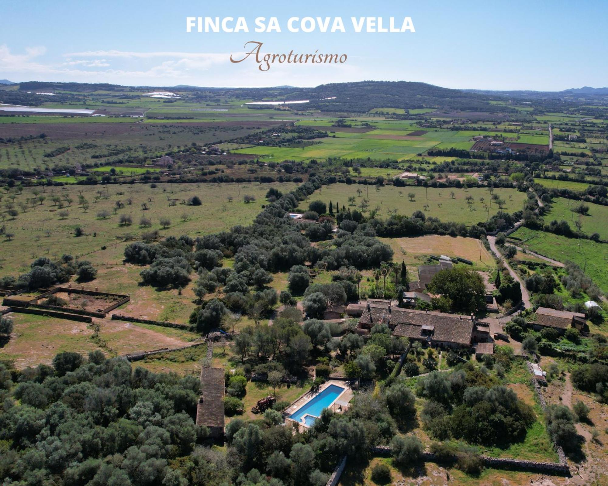 Finca Sa Cova Vella Manacor  Bagian luar foto