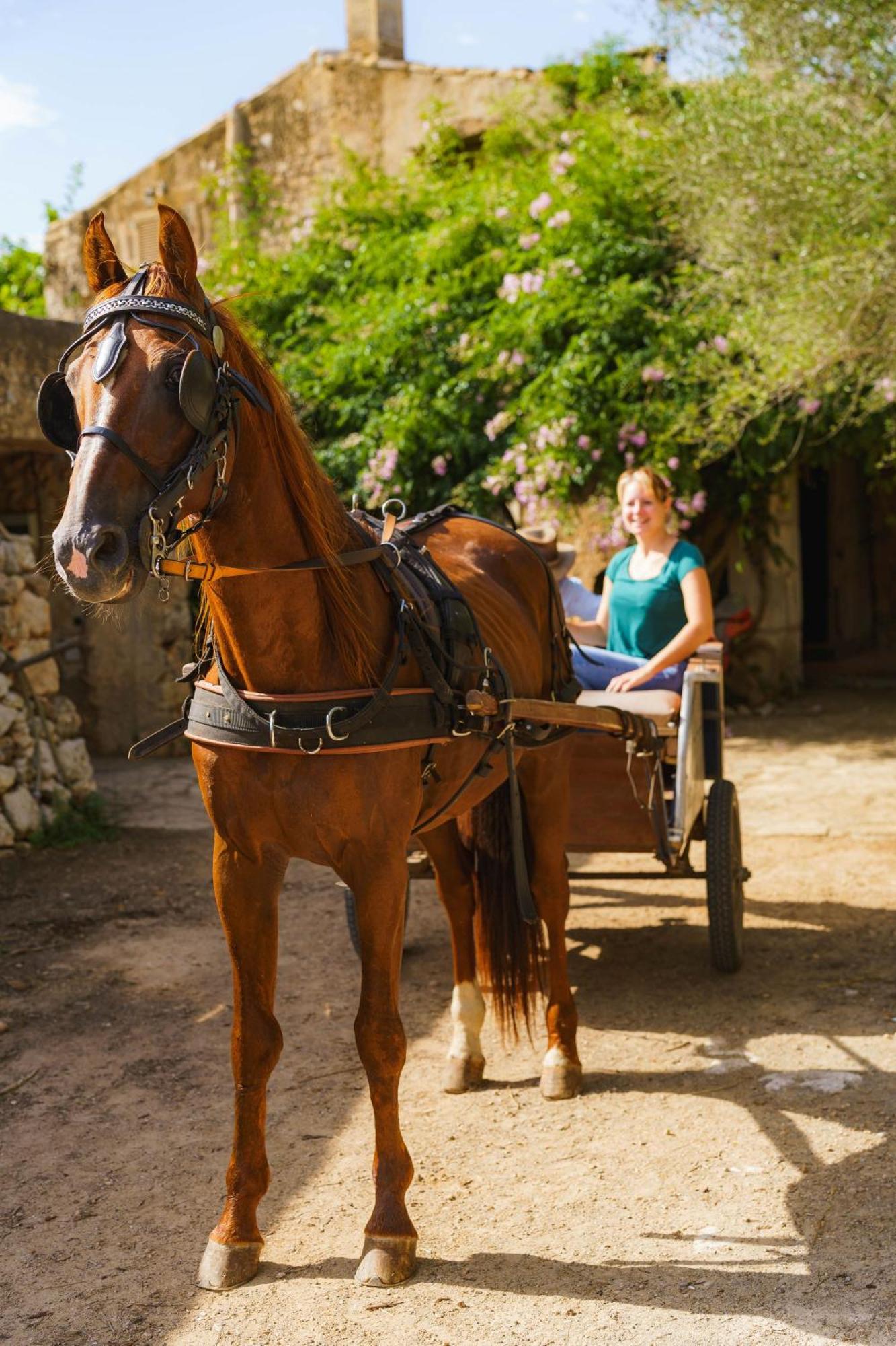 Finca Sa Cova Vella Manacor  Bagian luar foto
