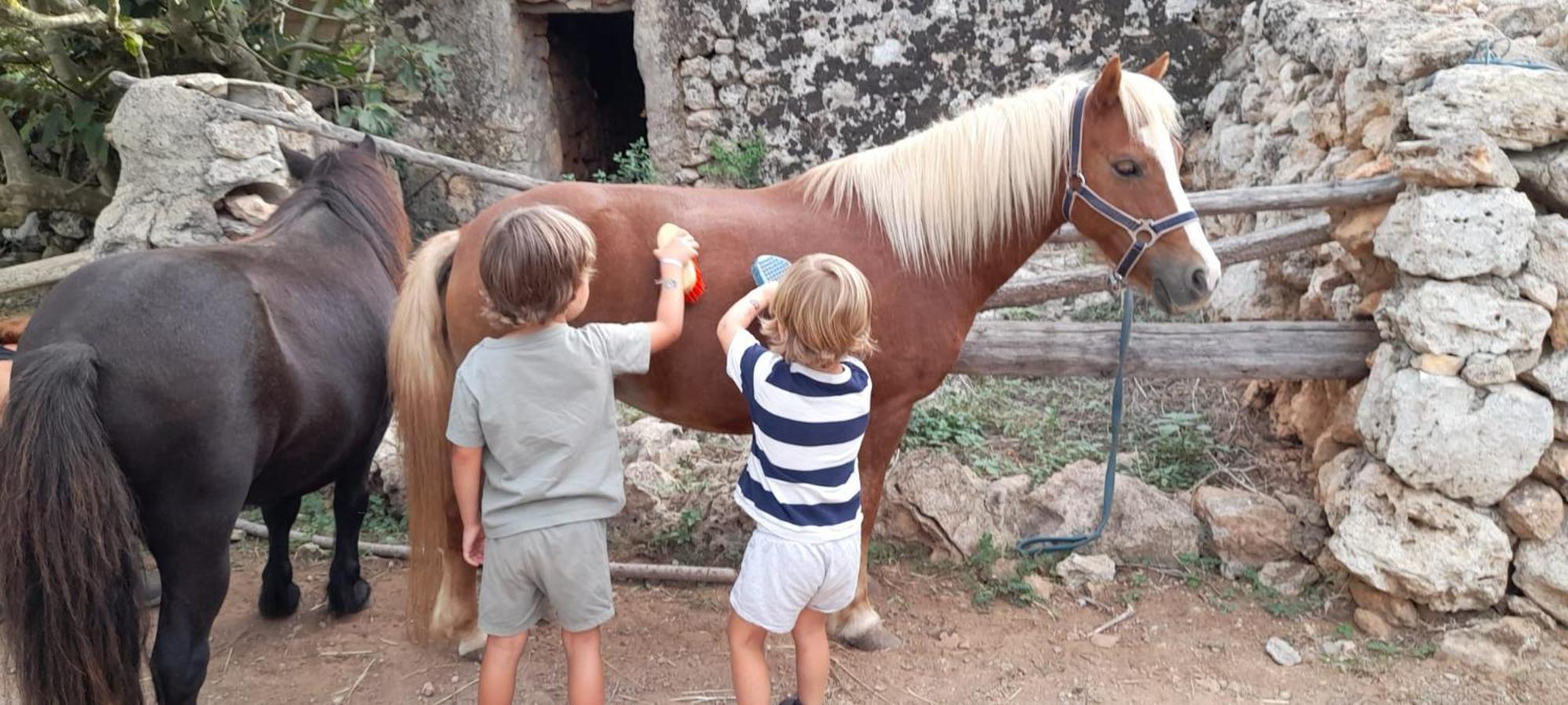 Finca Sa Cova Vella Manacor  Bagian luar foto